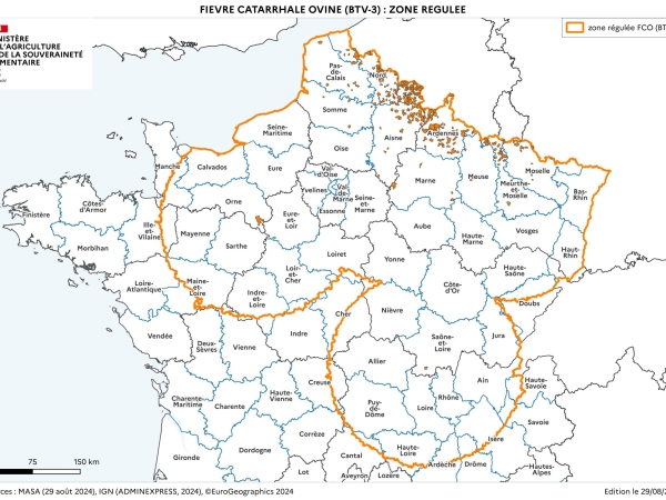 L’élevage Ruminants en alerte !