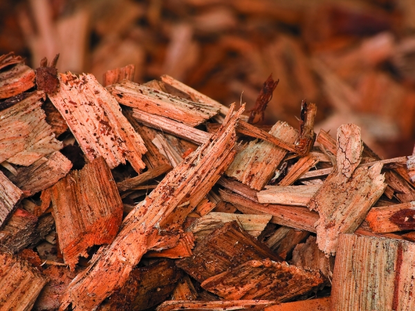 Des plaquettes de bois en litière récolte et conservation