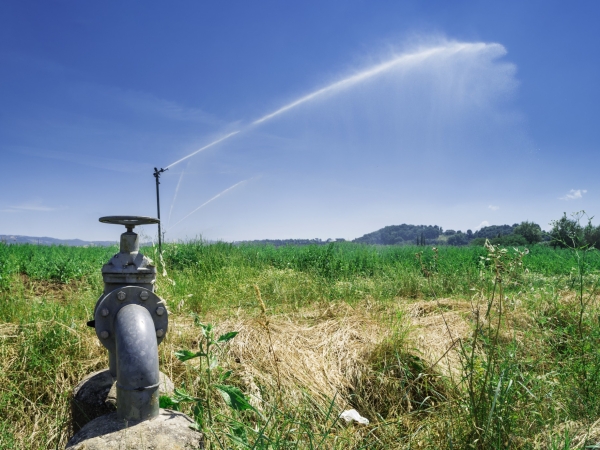 Une agriculture européenne sous contraintes 