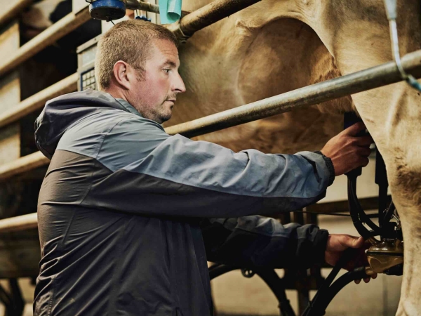 Le prix des 1 000 litres de lait supérieur à 500 €