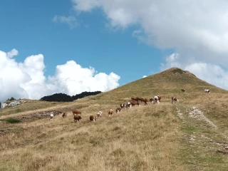 Les alpagistes de la Haute Chaîne du Jura se sont réunis