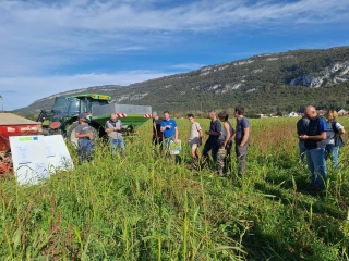 Couverts végétaux : des essais probants sur les sols du Bugey