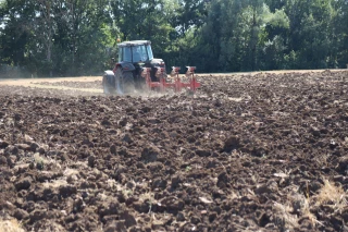 Concours de labours : les résultats des sept premiers cantonaux