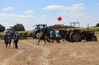 Concours de labours : les Bouchard et les Thievon raflent les premières places