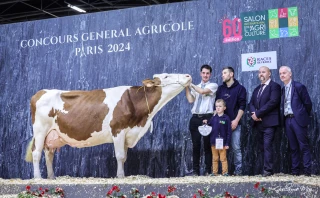 Onze vaches de l’Ain se presseront au concours