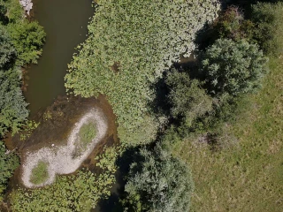 Changement climatique : les syndicats de rivière en ordre de marche  