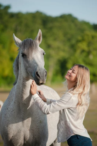 Le Havre de Galahia, le cheval autrement