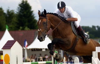 Le Jumping international de Bourg-en-Bresse sera bientôt là