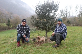 Le marché aux truffes de Saint-Champ repoussé  