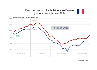 Une production laitière peu dynamique