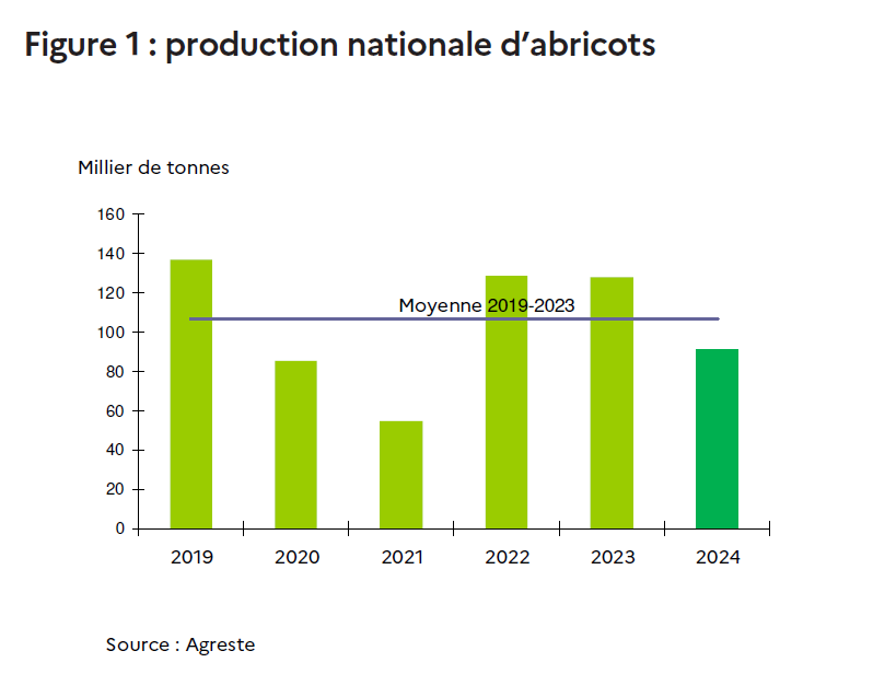 Forte baisse de la production d’abricots