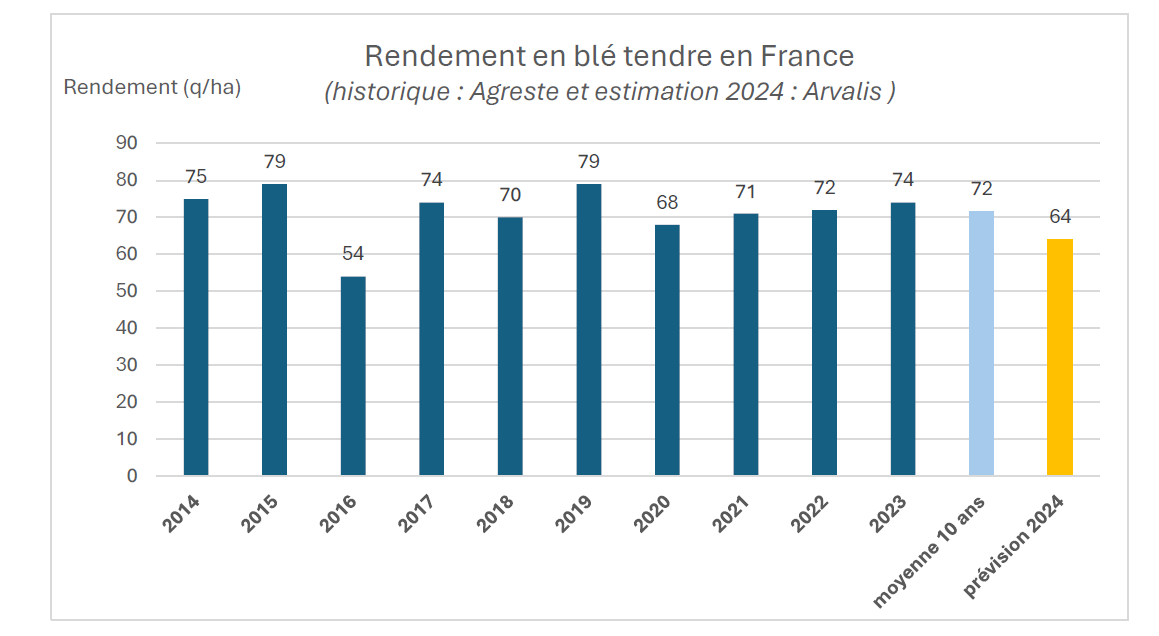 Rendements en blé tendre estimés en forte baisse