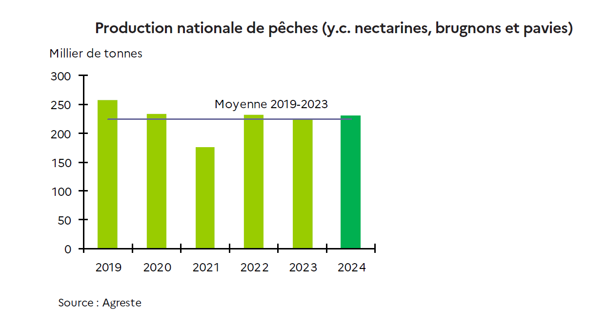 Production de pêches en hausse et prix en baisse