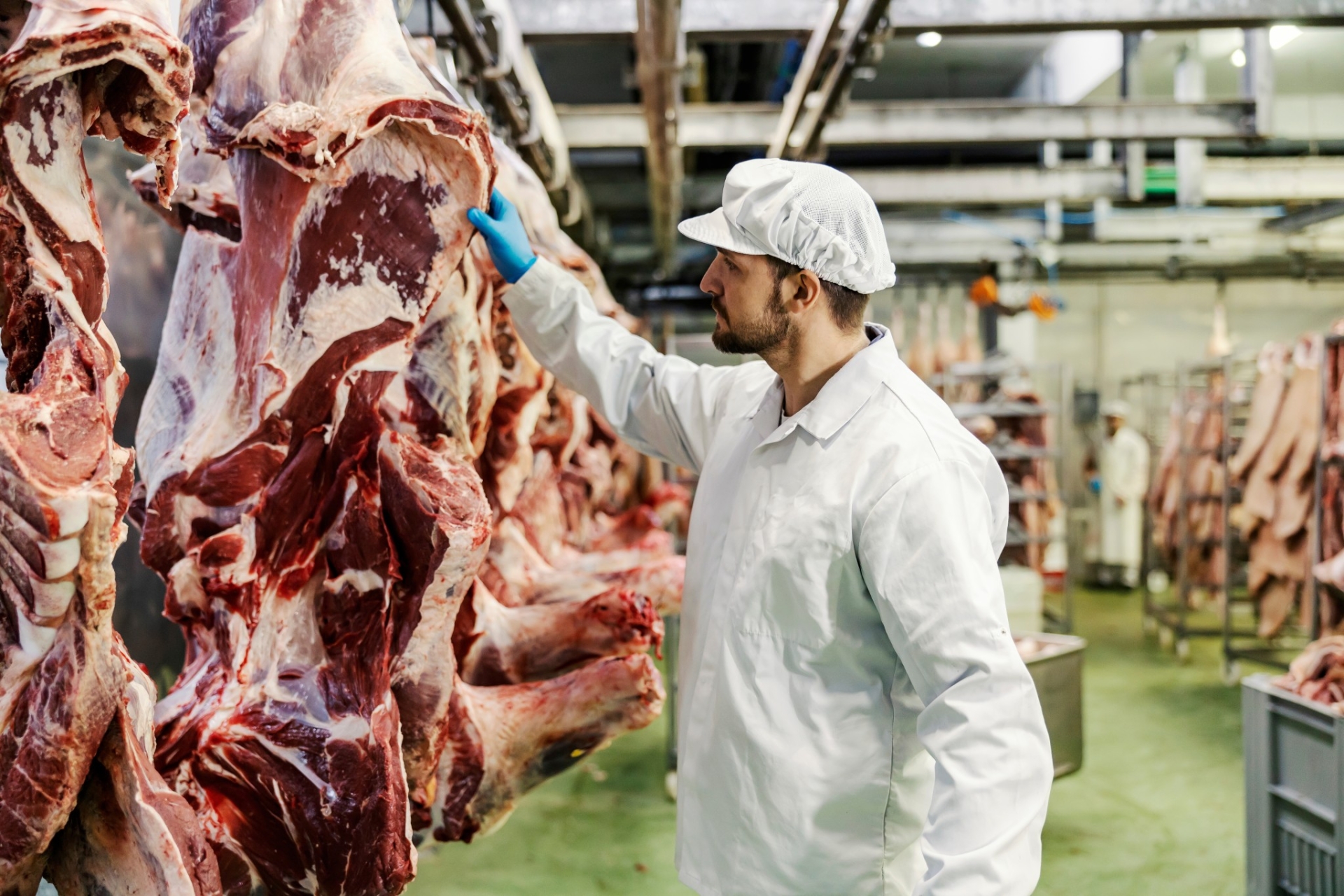 La baisse des abattages malmène les industriels