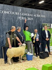 Anthony Rispal, meilleur jeune berger de France