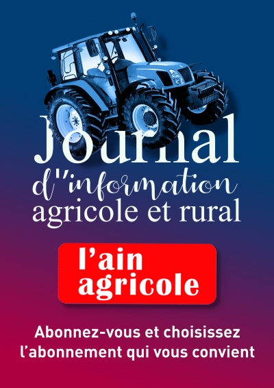 Motoculteur d'occasion à vendre sur Agriaffaires - France